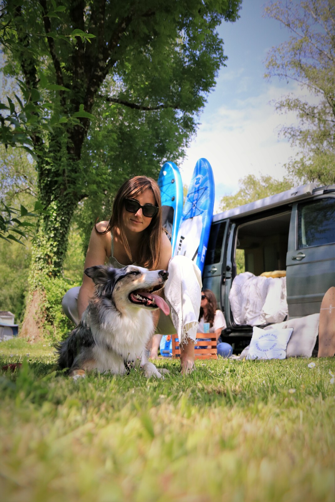 Séjour au camping avec son chien