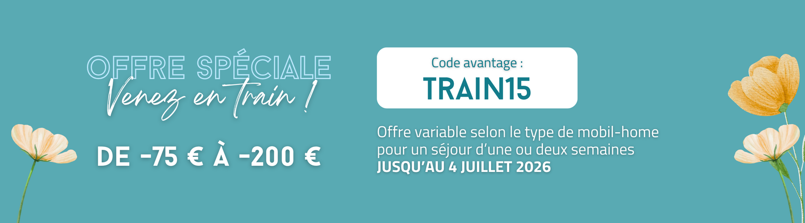 Offre spéciale train
